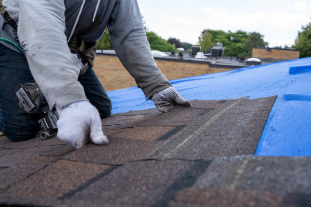 Best Gutter Installation and Roofing  in Groesbeck, OH